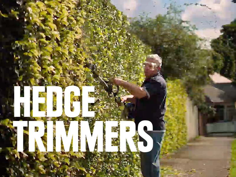 Man using hedge trimmer