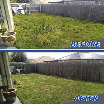 Before and After Mowing Lawn Comparison by Victa