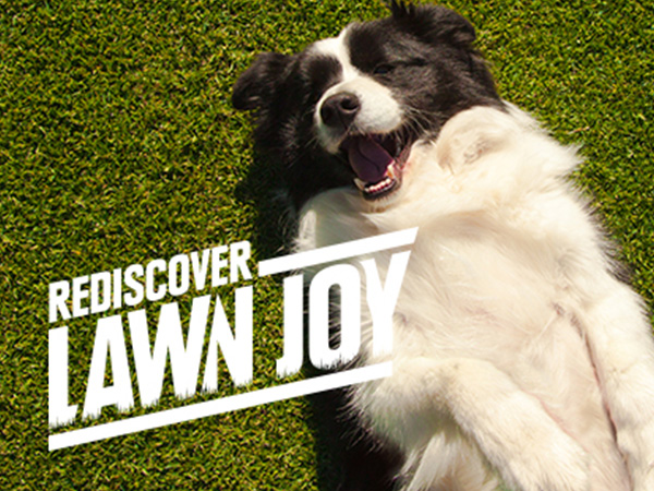 Rediscover Lawn Joy