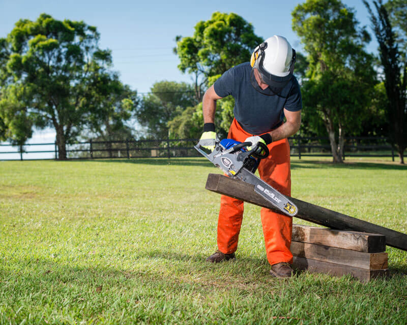 Chainsaw Oil