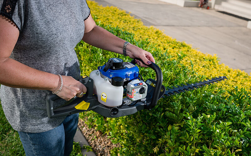 Hedge Trimmer Buying Guide Victa