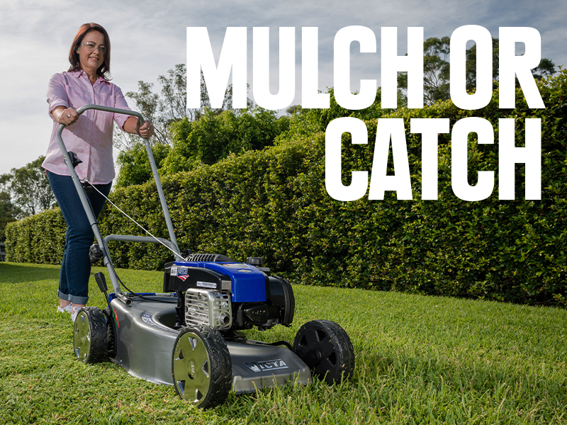 Dad pushing a Mulching Lawnmower