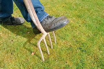 aerate lawn