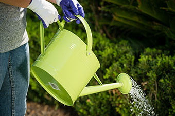 Reduce Watering Plant and Lawn Reduce Watering Plant and Lawn in Winter by Victa