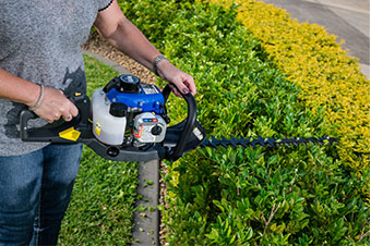 Prune and Trim Plants Prune and Trim Plants in Winter by Victa